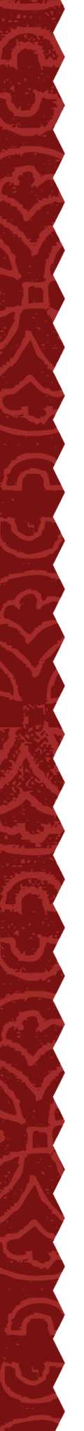 Paddy Logo